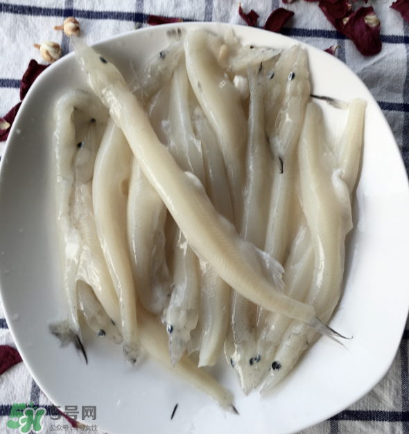 大銀魚多少錢一斤？大銀魚怎么洗？