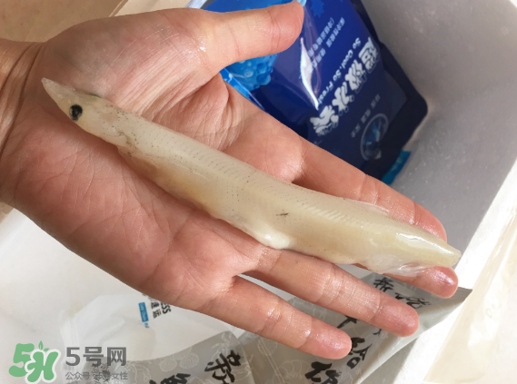 大銀魚多少錢一斤？大銀魚怎么洗？