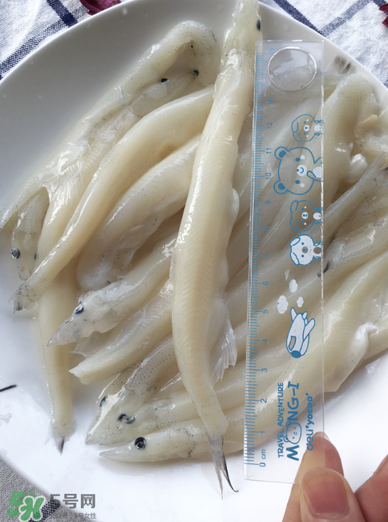 大銀魚多少錢一斤？大銀魚怎么洗？