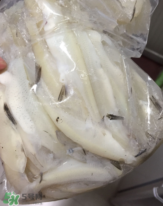 銀魚可以煲粥嗎？銀魚可以包餃子嗎？