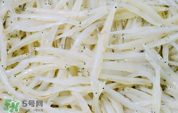 銀魚可以煲粥嗎？銀魚可以包餃子嗎？