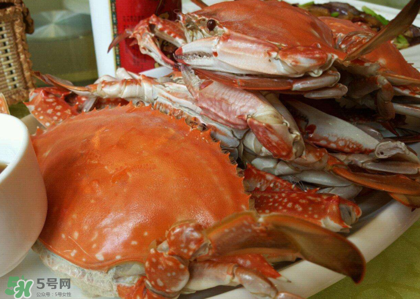 梭子蟹是海里的嗎？梭子蟹是螃蟹嗎？