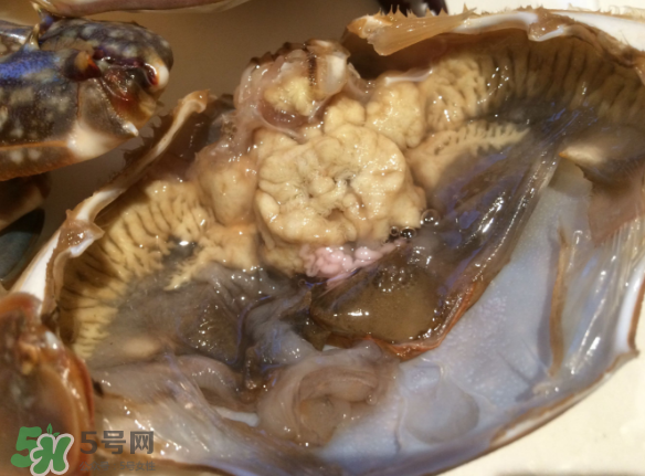 梭子蟹是野生的嗎？梭子蟹養(yǎng)的還是野生的？