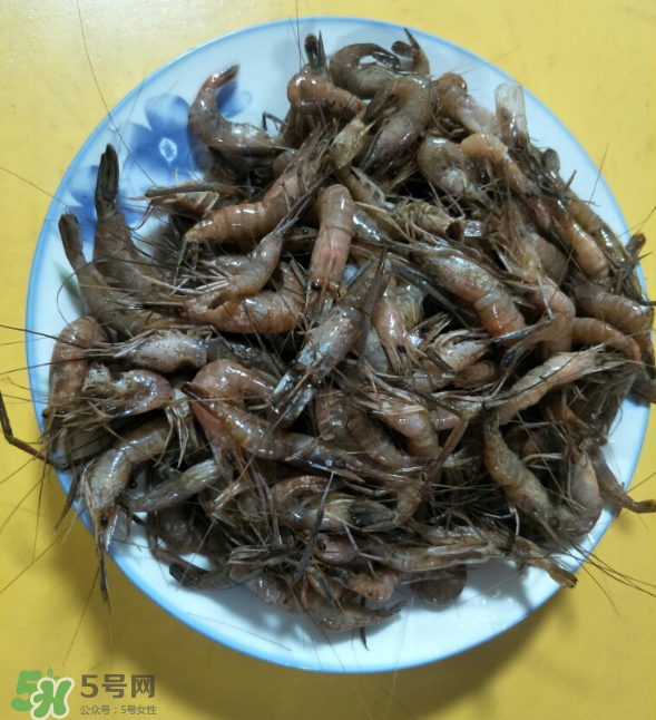 河蝦是發(fā)物嗎？河蝦是不是發(fā)物？