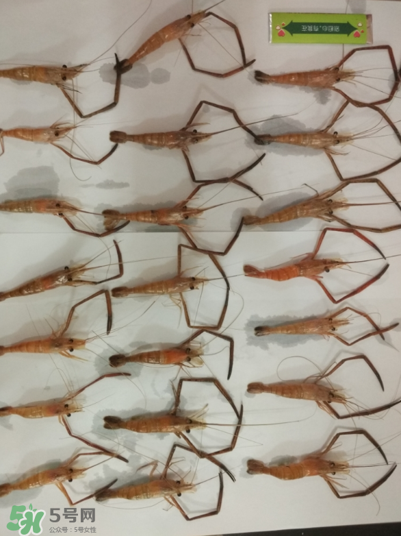 河蝦是海鮮嗎？河蝦屬于海鮮嗎？