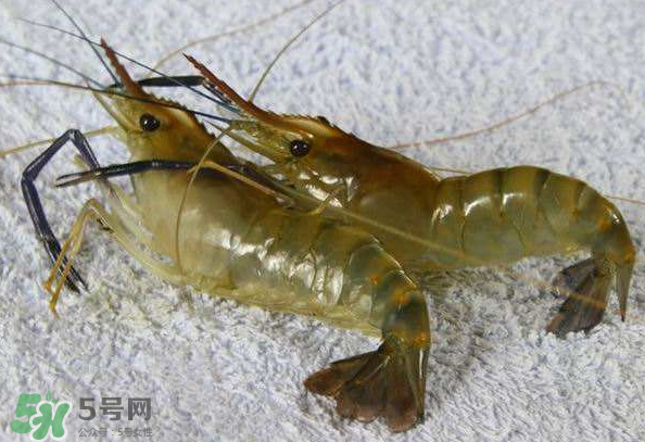 河蝦是酸性還是堿性？河蝦是涼性還是熱性？