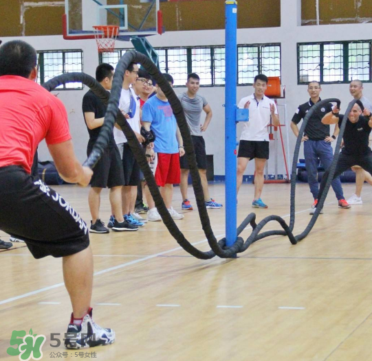 戰(zhàn)繩是有氧運(yùn)動(dòng)嗎？戰(zhàn)繩是有氧還是無(wú)氧？
