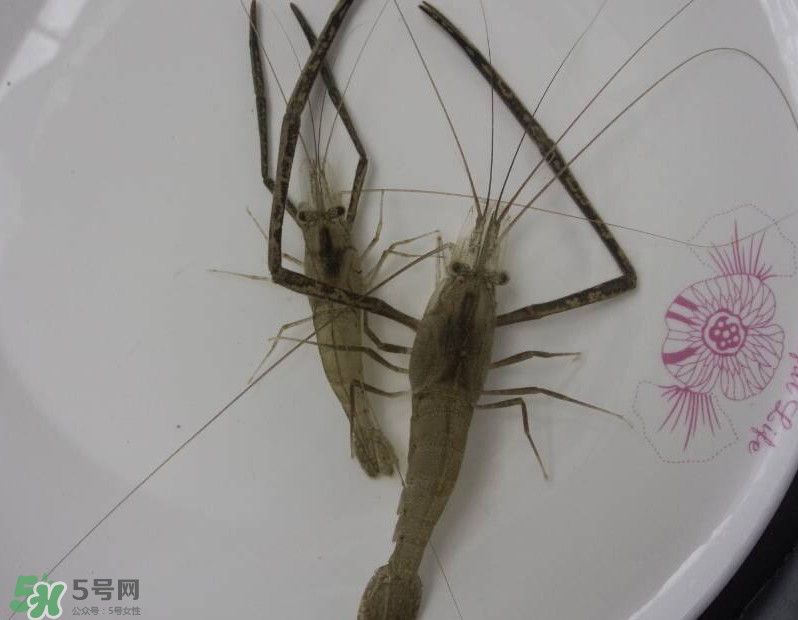 河蝦可以和牛奶同食嗎？河蝦和牛奶能一起吃嗎？