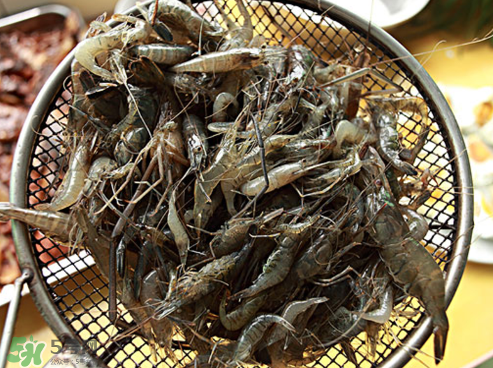 河蝦可以吃頭嗎？蝦頭到底能不能吃？