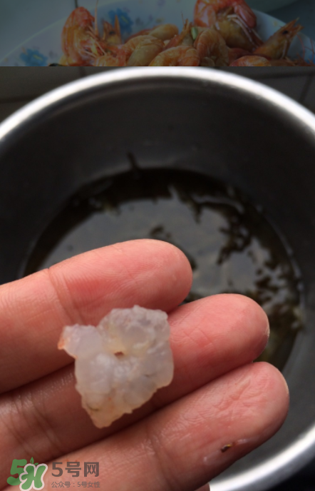 河蝦可以放冰箱嗎？河蝦在冰箱能放幾天？