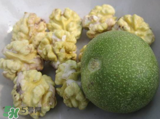 鮮核桃熱量高嗎？鮮核桃的熱量是多少？