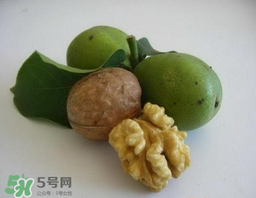 鮮核桃和干核桃哪個(gè)更有營養(yǎng)？鮮核桃和干核桃哪個(gè)營養(yǎng)價(jià)值高？