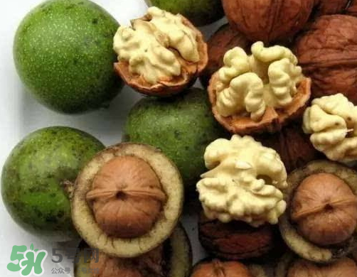 鮮核桃和干核桃哪個(gè)更有營養(yǎng)？鮮核桃和干核桃哪個(gè)營養(yǎng)價(jià)值高？