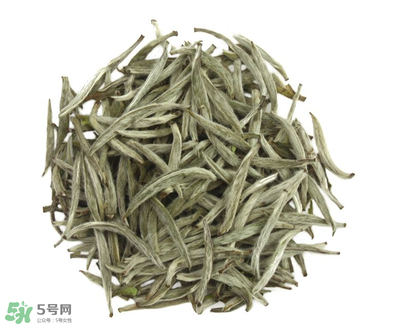 白毫銀針沖泡方法 白毫銀針口感好嗎？