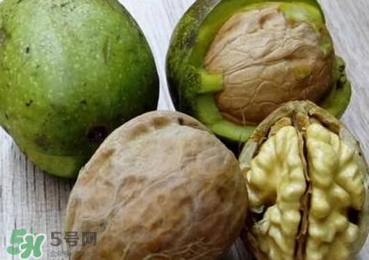 鮮核桃為什么是苦的？鮮核桃苦是怎么回事？