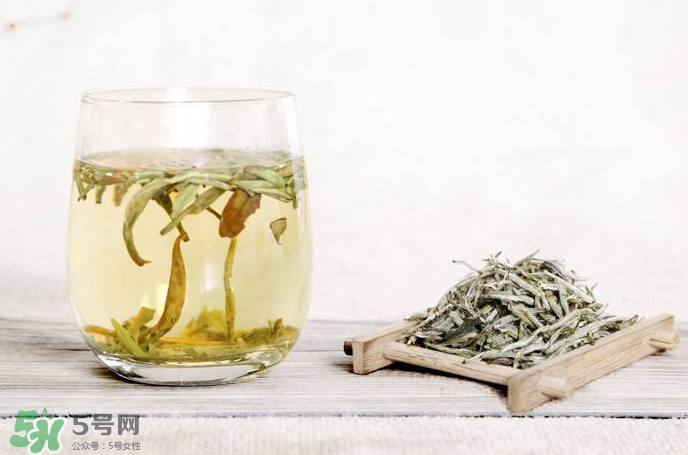 白毫銀針屬于綠茶嗎？白毫銀針是什么茶？