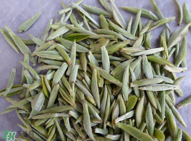 白毫銀針屬于綠茶嗎？白毫銀針是什么茶？