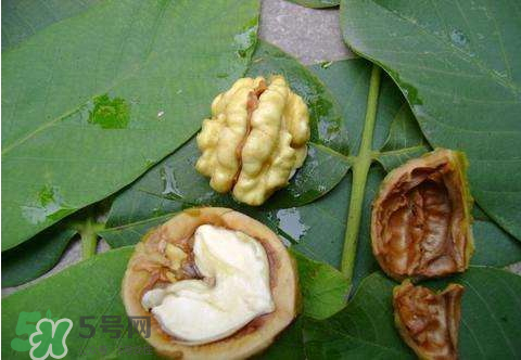 濕核桃可以放冰箱嗎？濕核桃放冰箱能放多久？