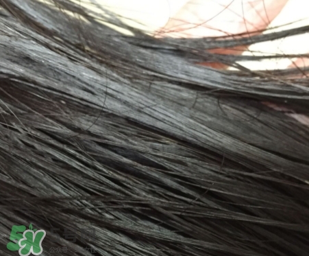 護發(fā)精油能不能抹頭皮？護發(fā)精油的危害