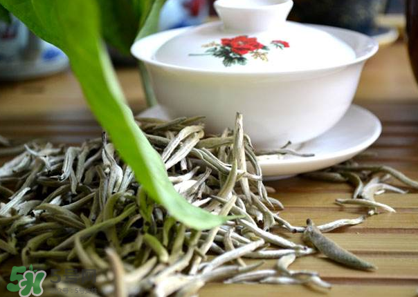 白茶需要洗茶嗎？白茶是洗還是不洗？