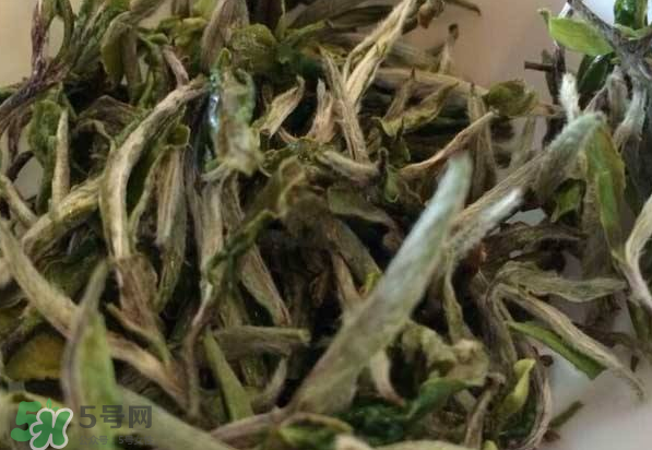 白茶需要洗茶嗎？白茶是洗還是不洗？