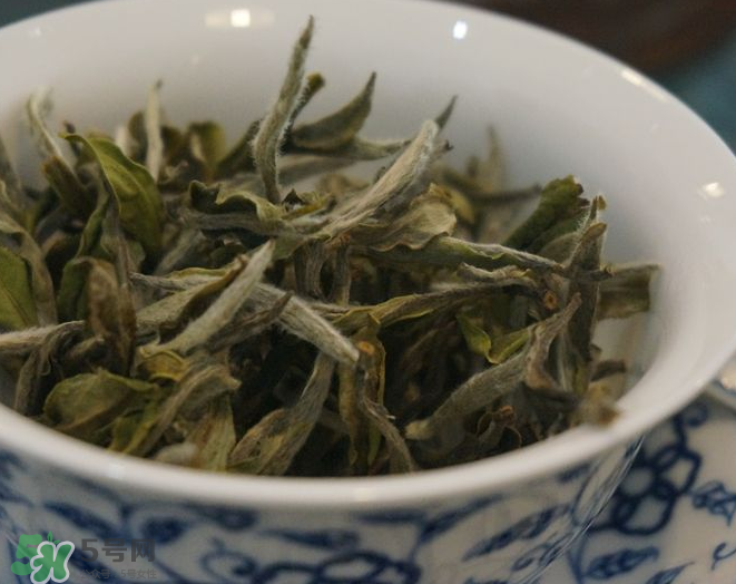 白茶需要洗茶嗎？白茶是洗還是不洗？