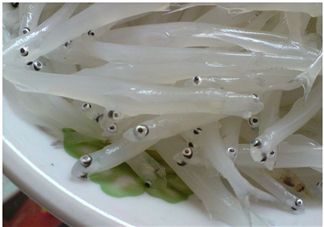 銀魚怎么保存？銀魚可以放在冰箱冷凍保存嗎？