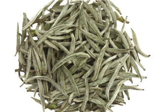 白毫銀針沖泡方法 白毫銀針口感好嗎？