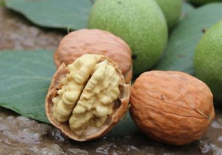 鮮核桃和干核桃哪個更有營養(yǎng)？鮮核桃和干核桃哪個營養(yǎng)價值高？