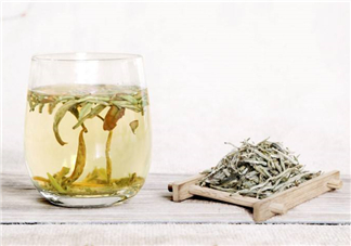 白毫銀針屬于綠茶嗎？白毫銀針是什么茶？