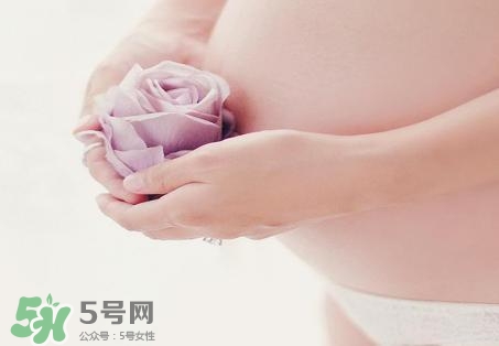 青刺果油能去妊娠紋嗎？青刺果油的功效與作用