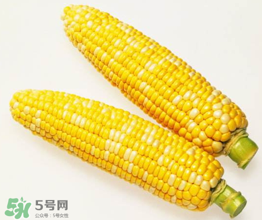 九月份能種玉米嗎？玉米九月份還可以種嗎？