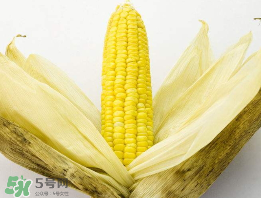 九月份能種玉米嗎？玉米九月份還可以種嗎？