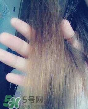 摩洛哥護(hù)發(fā)精油是哪個(gè)國家的？摩洛哥護(hù)發(fā)精油孕婦能用嗎