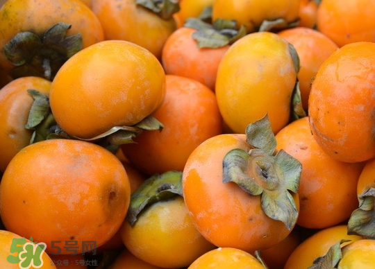 懶柿子幾月熟？哪種柿子適合做懶柿子？