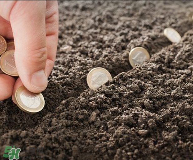 指甲上沒(méi)有月牙是怎么回事？指甲上沒(méi)有月牙是不是不健康？