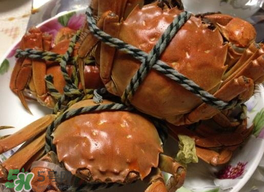 啤酒蒸大閘蟹怎么做？啤酒蒸大閘蟹做法步驟