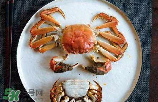 啤酒蒸大閘蟹好吃嗎？啤酒蒸大閘蟹怎么吃？