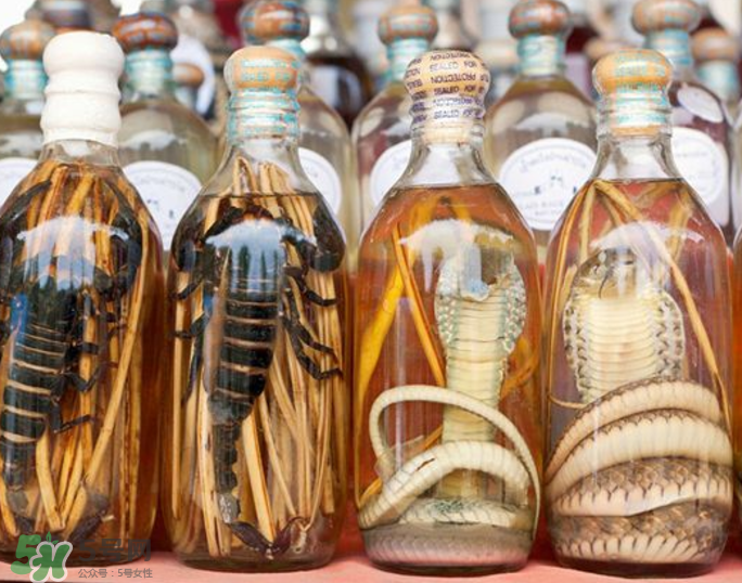 毒蛇泡酒有毒嗎？毒蛇泡酒能喝嗎？