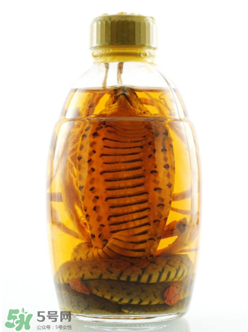 毒蛇泡酒有毒嗎？毒蛇泡酒能喝嗎？