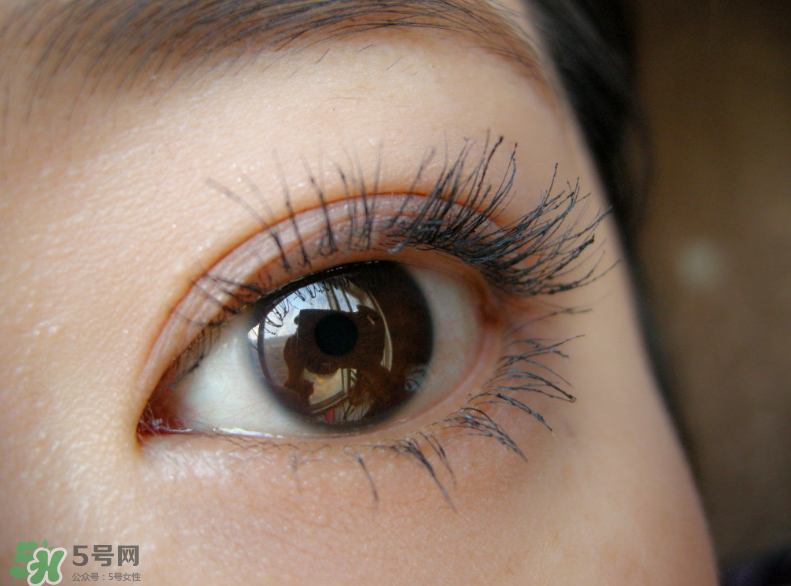 KATE睫毛打底膏怎么用？KATE睫毛打底膏好用嗎？