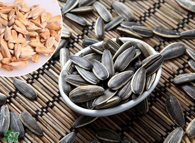 葵花籽是果實(shí)還是種子？葵花籽是堅(jiān)果嗎？