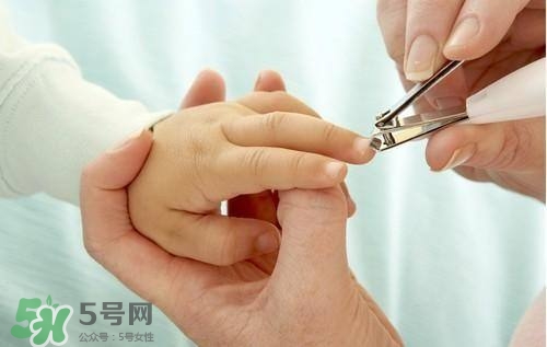 寶寶多大可以剪指甲？寶寶剪指甲的正確方法