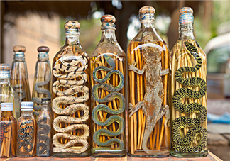 毒蛇泡在酒里為什么不死？毒蛇泡酒不死是什么原因？