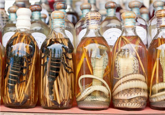 毒蛇泡酒有毒嗎？毒蛇泡酒能喝嗎？