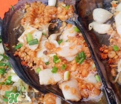 帶子是什么海鮮？帶子是什么東西