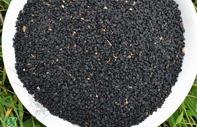 韭菜籽多少錢(qián)一斤？韭菜籽怎么賣(mài)的？