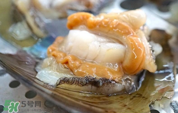 帶子哪里不能吃？帶子有什么營養(yǎng)價值