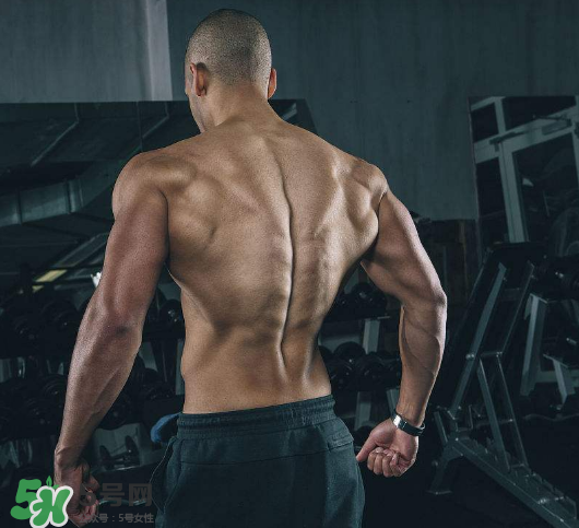 龍門架怎么練背？龍門架練背動作推薦