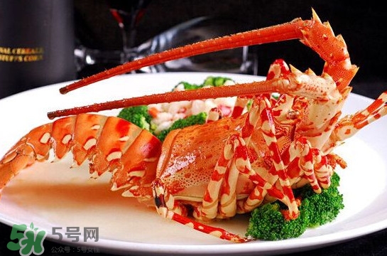 中華錦繡龍蝦可以養(yǎng)殖嗎？中華錦繡龍蝦有毒嗎